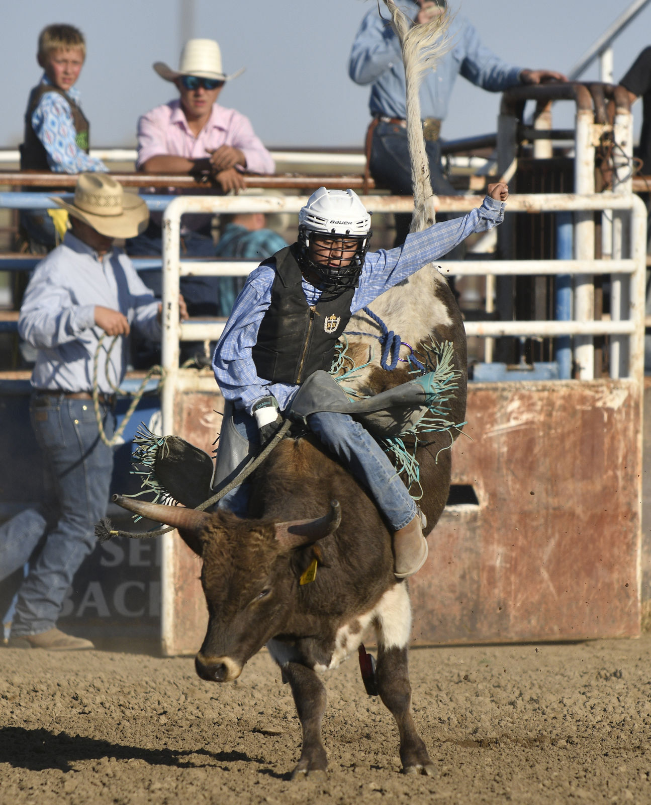 Lincoln County Mini Bull Riding
